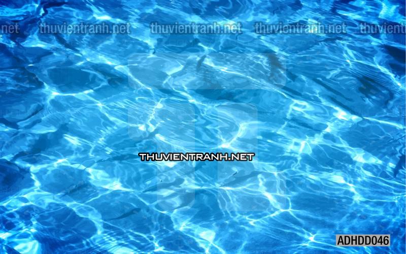 Tranh 3D cảnh dưới đáy Đại Dương xanh, tranh dán tường trang trí sinh vật Biển - Tranh tường chất lượng cao