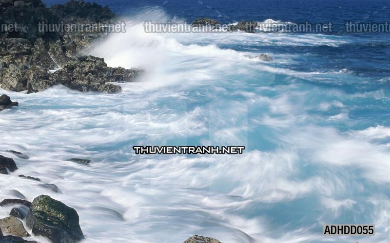 Tranh 3D cảnh dưới đáy Đại Dương xanh, tranh dán tường trang trí sinh vật Biển - Tranh tường chất lượng cao