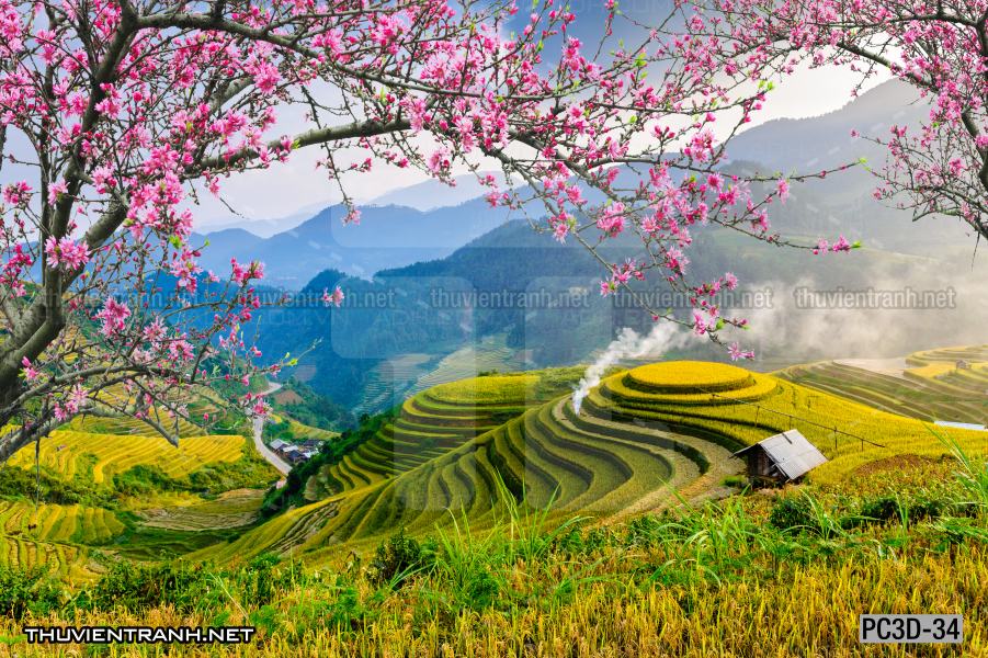 Tranh Phong cảnh 3D, Tranh phong cảnh hữu tình, phong cảnh đẹp - Kết quả tìm kiếm tranh tường