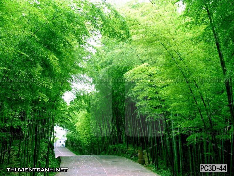 Tranh Phong cảnh 3D, Tranh phong cảnh hữu tình, phong cảnh đẹp - Kết quả tìm kiếm tranh tường