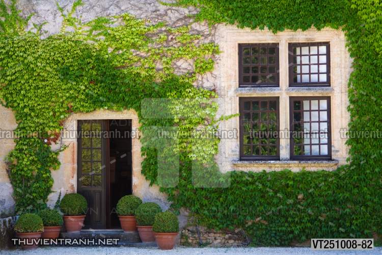  Tranh dán tường phố xưa, quán cà phê Vintage, bức tường hoa lá xinh - Kết quả tìm kiếm tranh tường