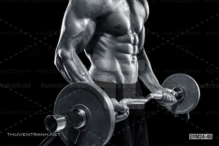 Tranh dán tường Phòng Gym - Kết quả tìm kiếm tranh tường