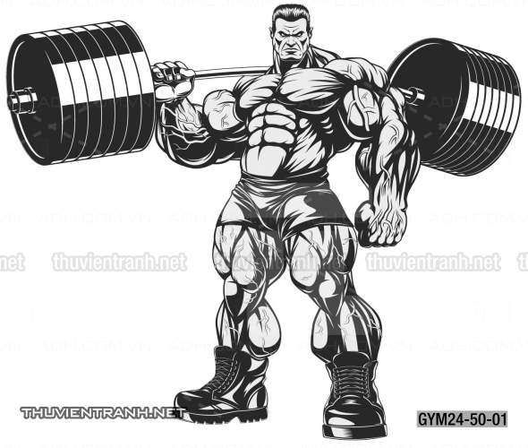  Tranh dán tường Phòng Gym - Kết quả tìm kiếm tranh tường
