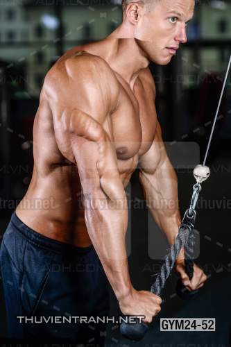  Tranh dán tường Phòng Gym - Kết quả tìm kiếm tranh tường