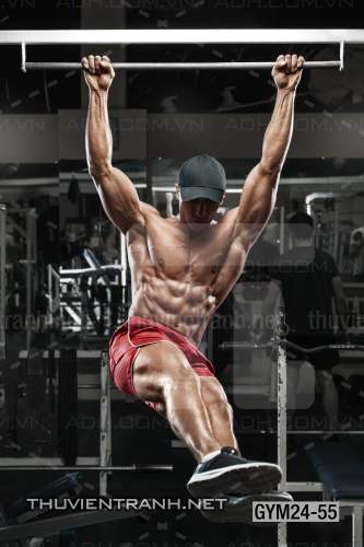  Tranh dán tường Phòng Gym - Kết quả tìm kiếm tranh tường