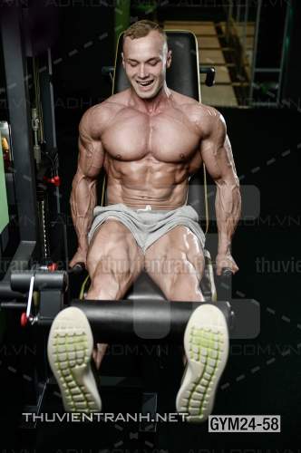  Tranh dán tường Phòng Gym - Kết quả tìm kiếm tranh tường