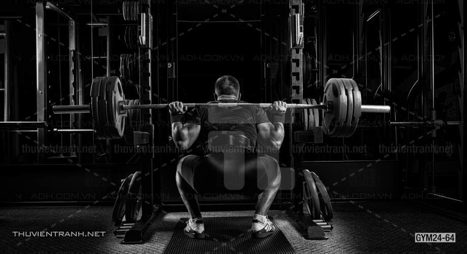  Tranh dán tường Phòng Gym - Kết quả tìm kiếm tranh tường