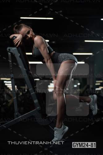 Tranh dán tường Phòng Gym - Kết quả tìm kiếm tranh tường