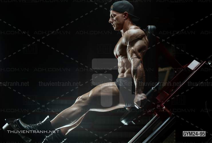 Tranh dán tường Phòng Gym - Kết quả tìm kiếm tranh tường