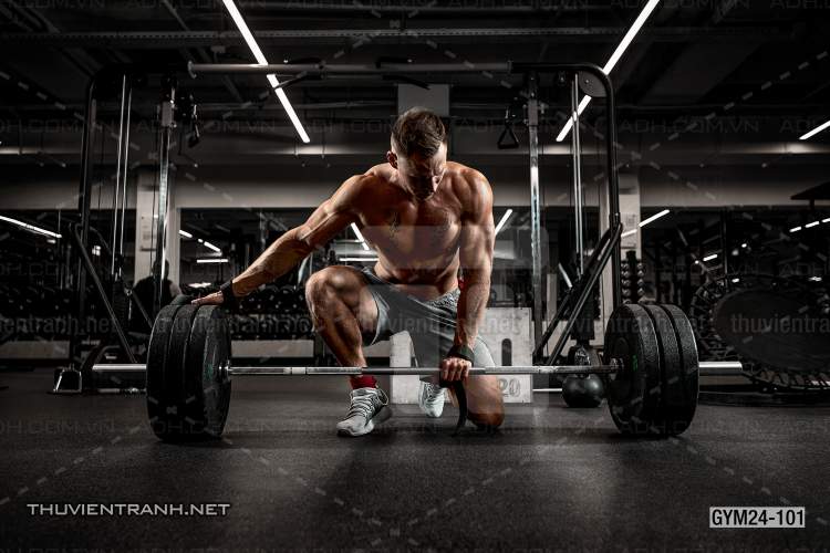 Tranh dán tường Phòng Gym - Kết quả tìm kiếm tranh tường