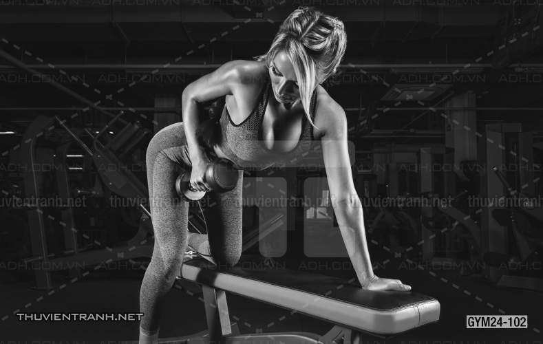 Tranh dán tường Phòng Gym - Kết quả tìm kiếm tranh tường