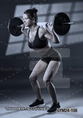Tranh dán tường Phòng Gym - Kết quả tìm kiếm tranh tường