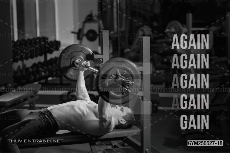 Tranh dán tường Phòng Gym - Kết quả tìm kiếm tranh tường