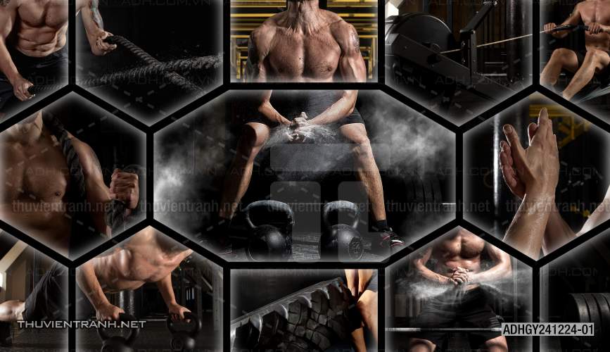  Tranh dán tường Phòng tập Gym - Kết quả tìm kiếm tranh tường
