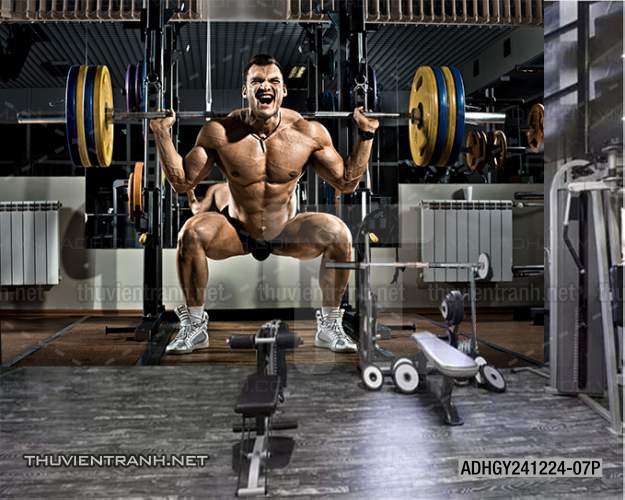  Tranh dán tường Phòng tập Gym - Kết quả tìm kiếm tranh tường