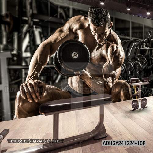  Tranh dán tường Phòng tập Gym - Kết quả tìm kiếm tranh tường