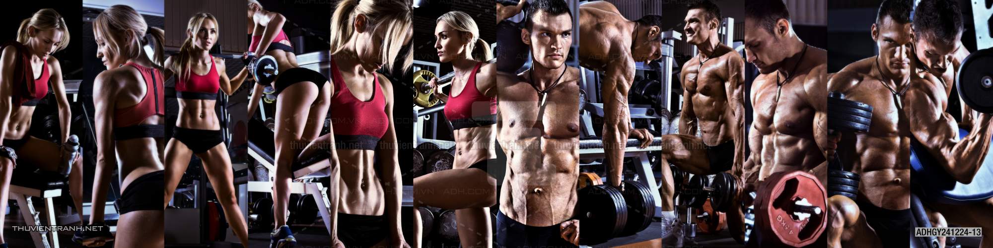  Tranh dán tường Phòng tập Gym - Kết quả tìm kiếm tranh tường