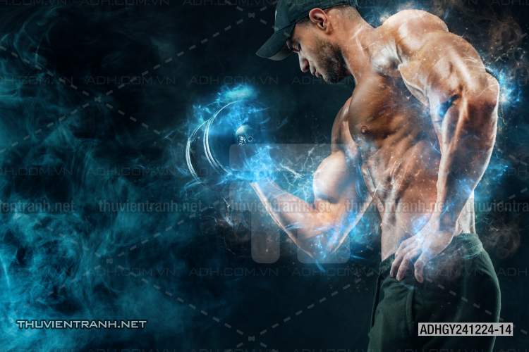 Tranh dán tường Phòng tập Gym - Kết quả tìm kiếm tranh tường