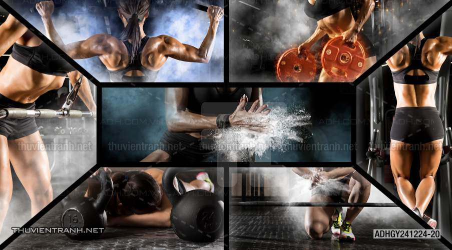 Tranh dán tường Phòng tập Gym - Kết quả tìm kiếm tranh tường