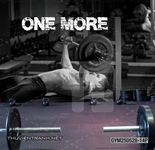 Tranh dán tường Phòng tập Gym - Tranh tường chất lượng cao