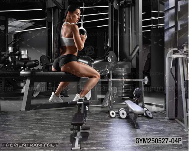 Tranh tường phòng GYM, tranh dán club Thể Hình - Tranh tường chất lượng cao