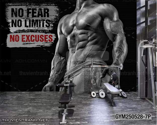 Tranh tường phòng GYM, tranh dán club Thể Hình - Tranh tường chất lượng cao