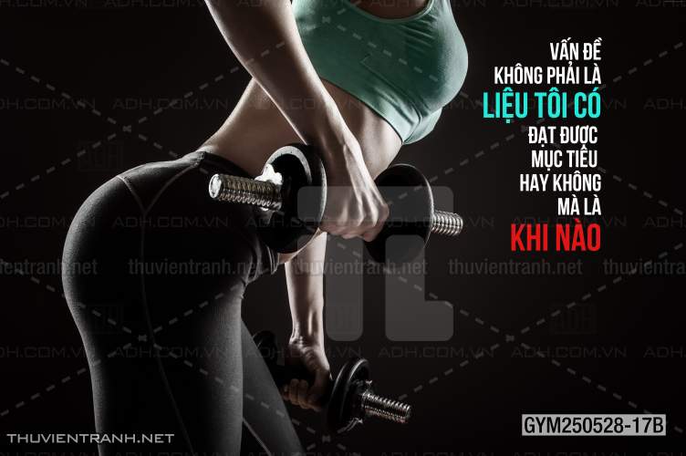 Tranh tường phòng GYM, tranh dán club Thể Hình - Kết quả tìm kiếm tranh tường