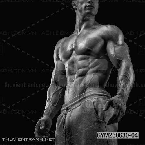 Tranh tường phòng GYM, tranh dán club Thể Hình - Kết quả tìm kiếm tranh tường