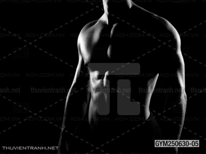 Tranh tường phòng GYM, tranh dán club Thể Hình - Kết quả tìm kiếm tranh tường