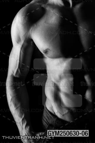 Tranh tường phòng GYM, tranh dán club Thể Hình - Kết quả tìm kiếm tranh tường