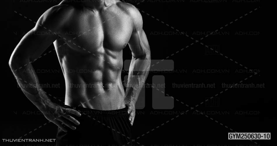 Tranh tường phòng GYM, tranh dán club Thể Hình - Kết quả tìm kiếm tranh tường