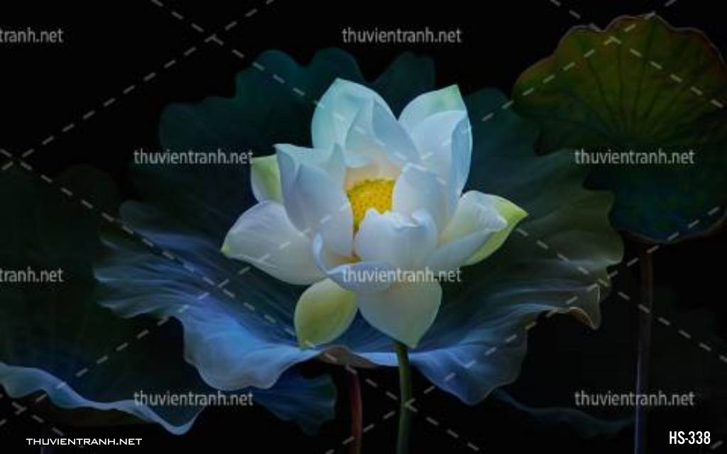 Tranh dán tường Hoa Sen - Tranh tường chất lượng cao