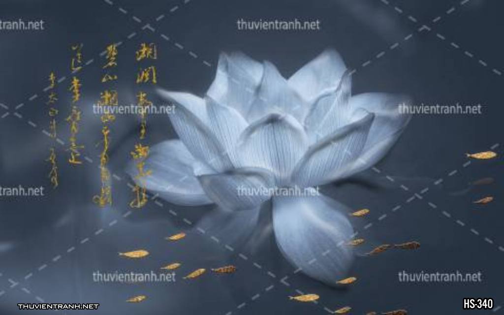 Tranh dán tường Hoa Sen - Tranh tường chất lượng cao