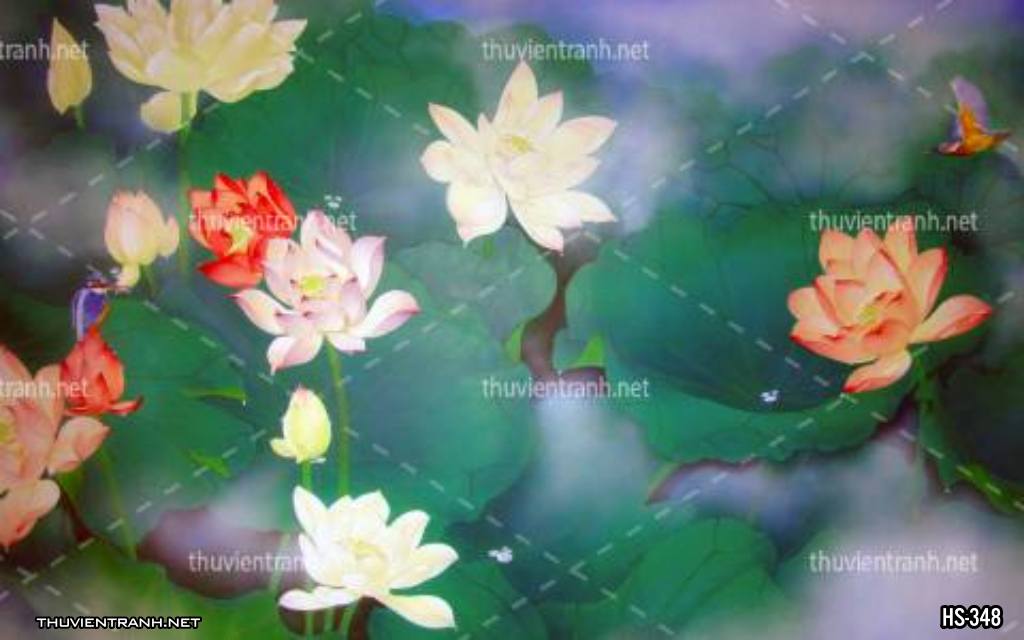 Tranh dán tường Hoa Sen - Tranh tường chất lượng cao